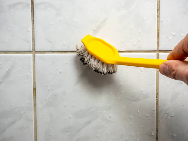 Best Toxic Mold Removal  in Menahga, MN