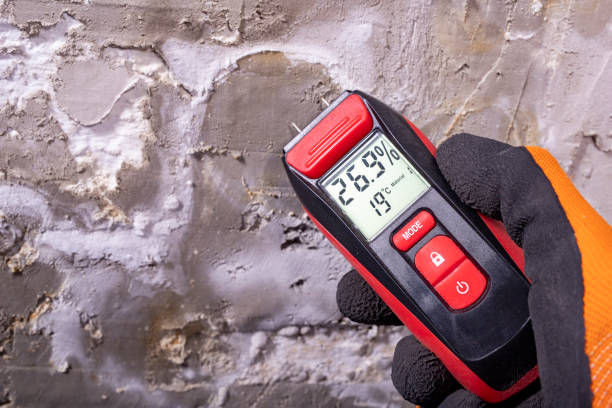 Professional Mold Removal in Menahga, MN