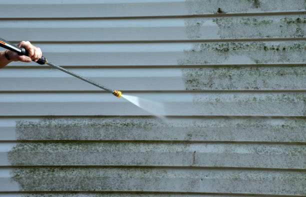 Best Mold Damage Repair  in Menahga, MN