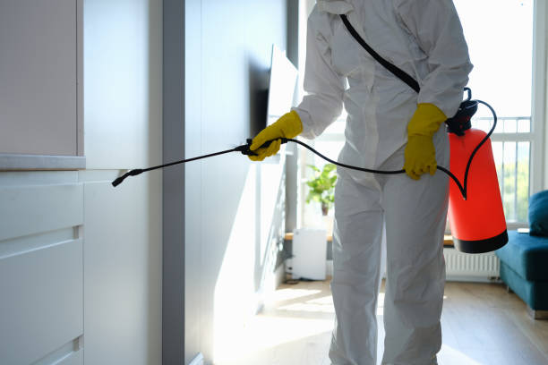 Best Mold Cleaning Services  in Menahga, MN